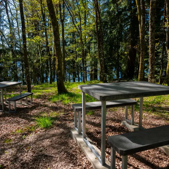 ©Alexis-ARNAUD-Lac-de-Saint-Pardoux