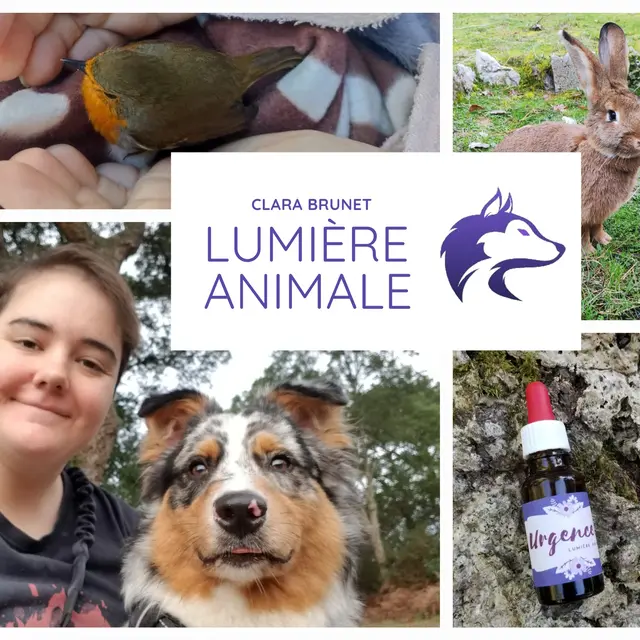 ©Lumière Animale 2023 (1)