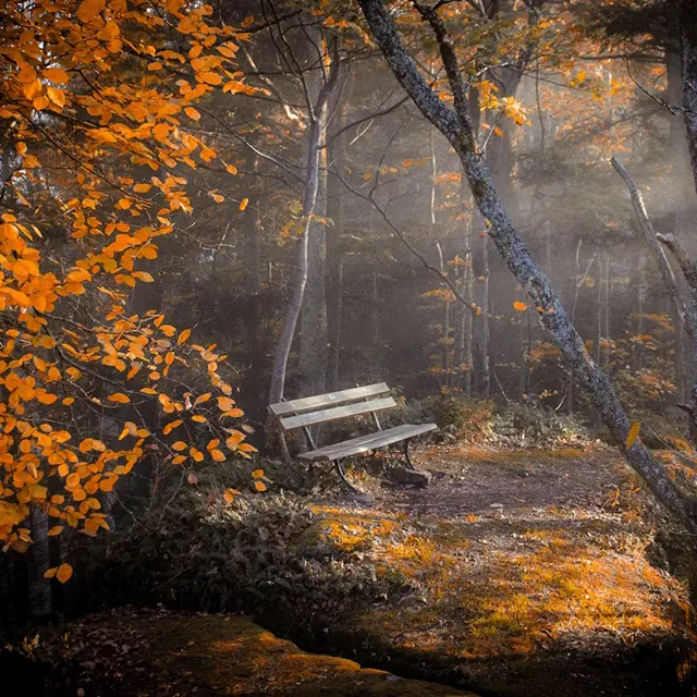 Exposition Laetitia Larquier