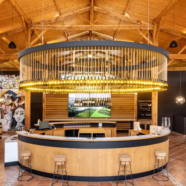 0M7A2818- Vignoble des Verdots@Déclic&Décolle