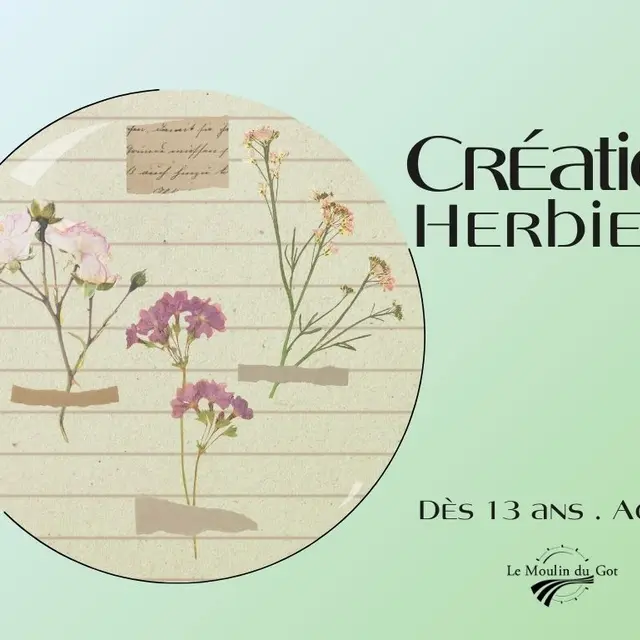 25-12-06 Création herbier  - 1