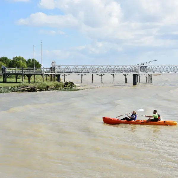 Activité Terres d'Oiseaux - KAYAK sur l'Estuaire - 800x600
