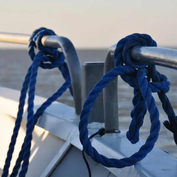 Croisière