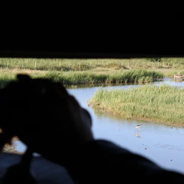 Terres d'Oiseaux