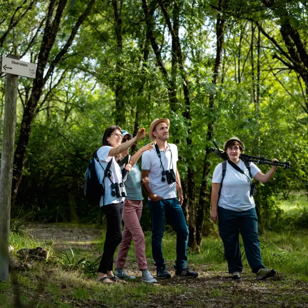 Initiation à l'ornithologie à Terres d'Oiseaux - 800x600