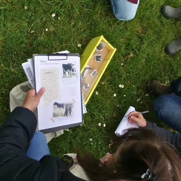 Escape game nature - TERRES D'OISEAUX - Braud-et-Saint-Louis - 800x600