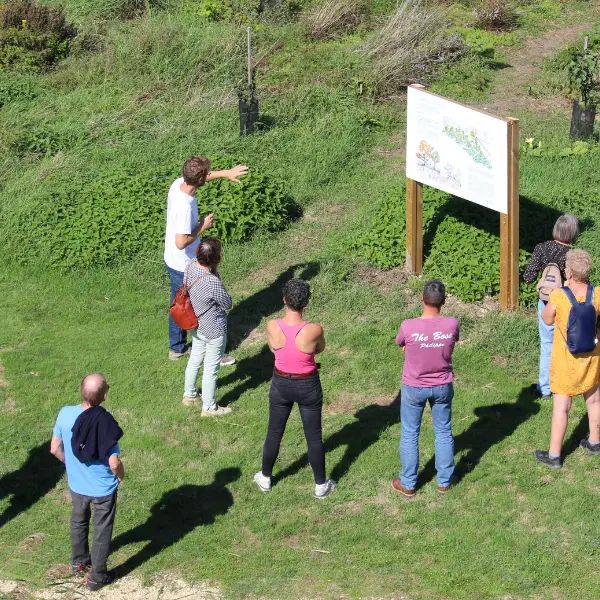 Visite du jardin forêt - 800x600 TERRES D'OISEAUX