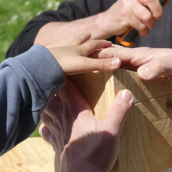 Construction d'un nichoir 800x600