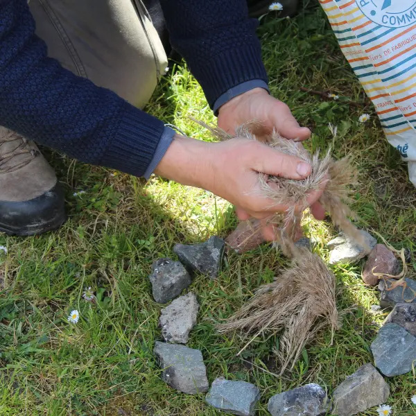 Petits aventuriers à Terres d'Oiseaux - 800x600