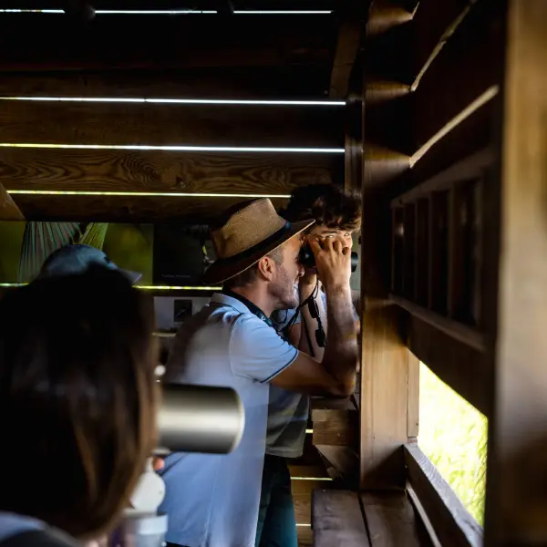 Initiation à l'ornithologie à Terres d'Oiseaux - 800x600