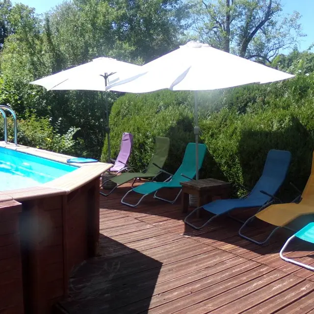 piscine - La grenouille verte