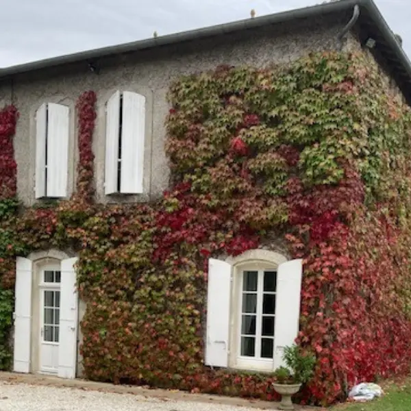 SIRTAQUI 800X600 - 11