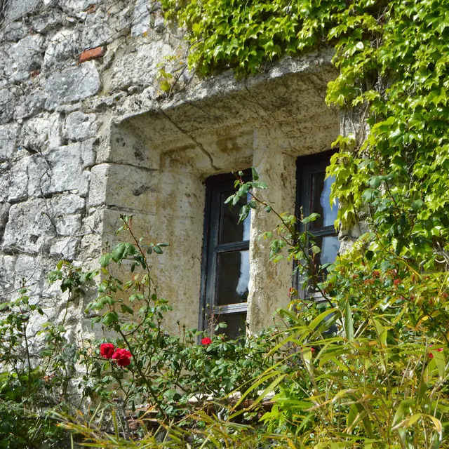 12_Pujols à la carte