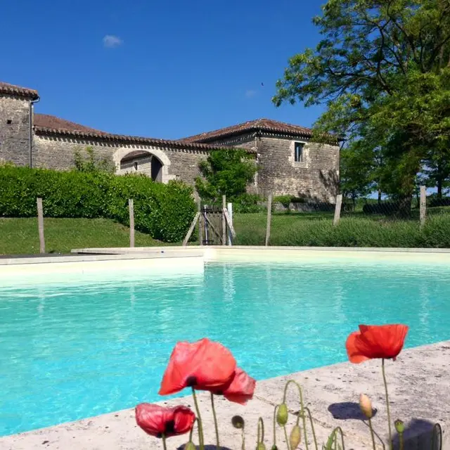 HLOAQU047FS00335_Thézac_Canel Tonneau_piscine