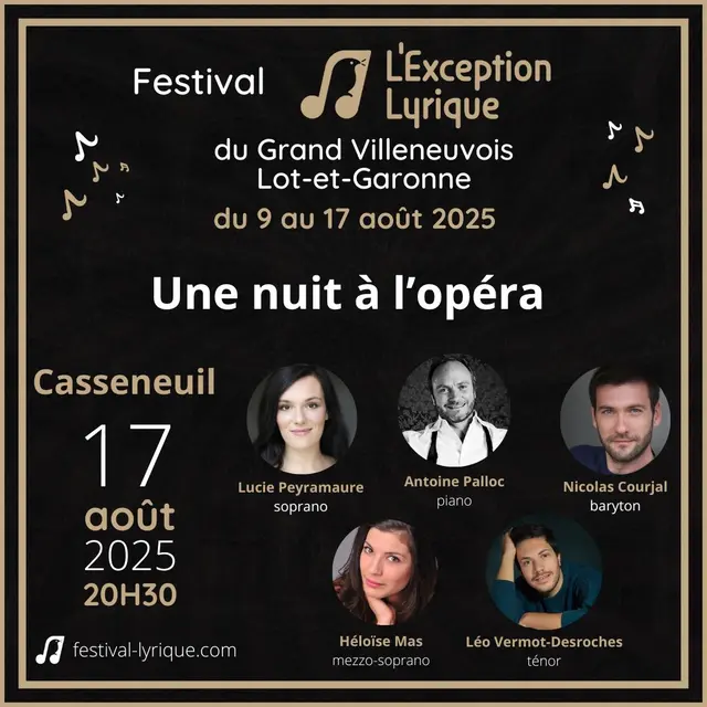 Facebook animations 2025 - Une nuit à l’opéra