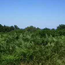 Circuit de la Montjoie à Blond 87_2