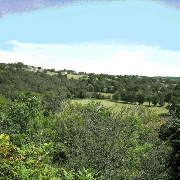 La Roche Vigeanne_1