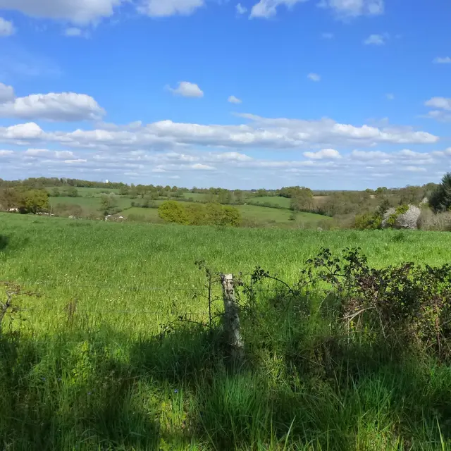 Chemin de Boireau_1