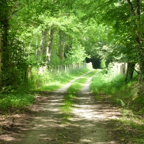Le Martoulet_1