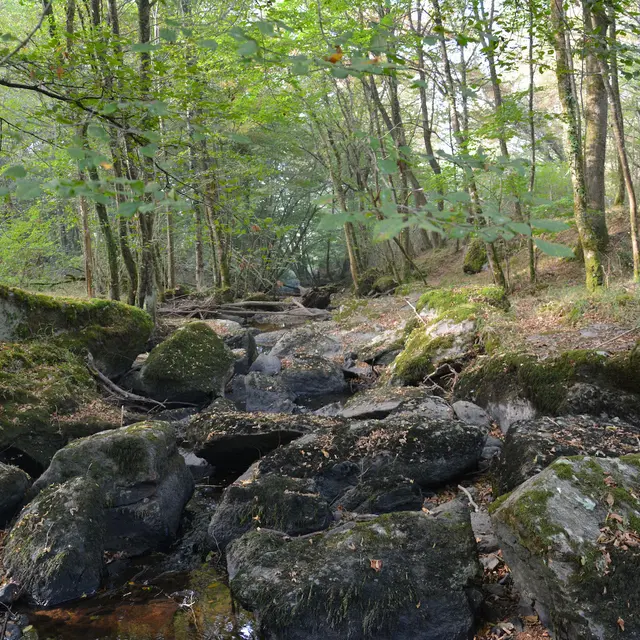 Rochers de l'Isop_1