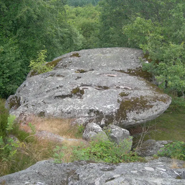 Roches Brunagères_1
