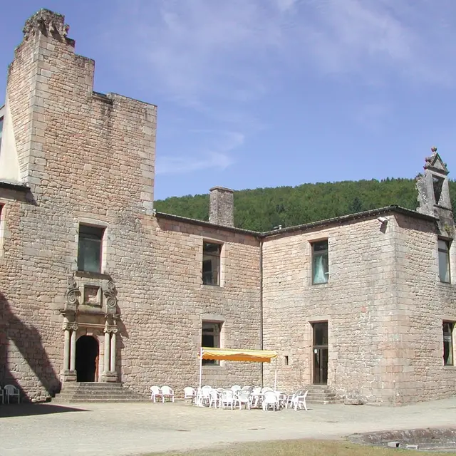 Le château de Nedde_1