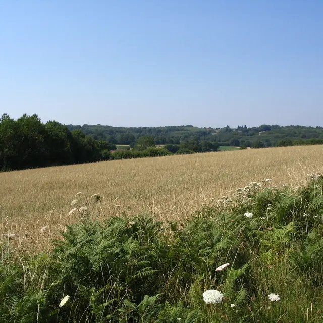 Paysage Pageas_1