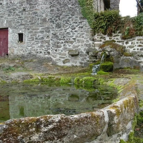 Fontaine-lavoir du Mas-Barbu_1