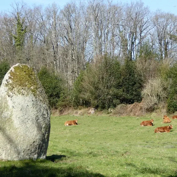 Menhir des Fichades_1
