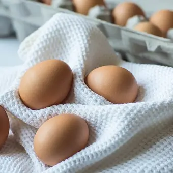 Les oeufs de Nina
