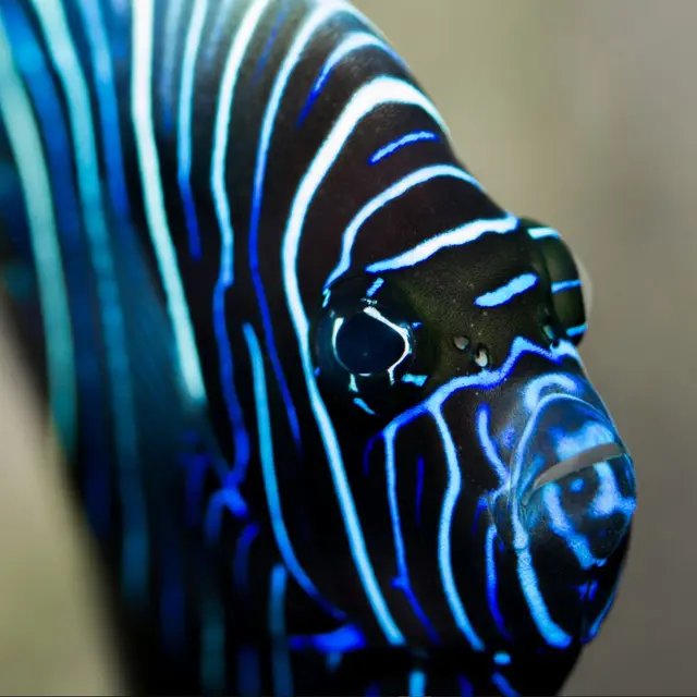 Aquarium du Limousin_1