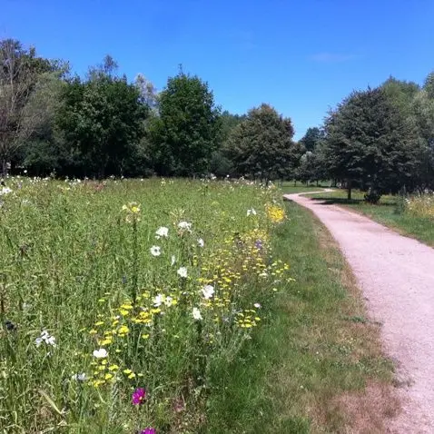 Jardin en Mouvement - Promenade Gilles Clément_1