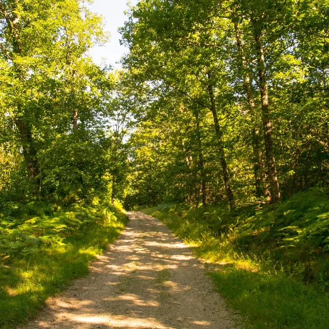 Sentier de la croix du loup_1