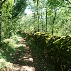 1CHAVAGNAC (19)