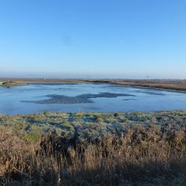 SEMAINE DE LA BIODIVERSITÉ - Tonne / 800x600