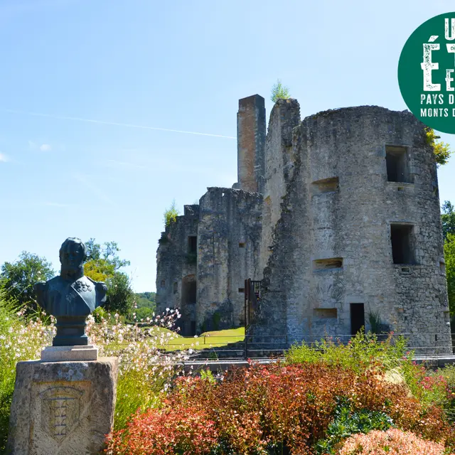 Visite guidée du Château des Cars