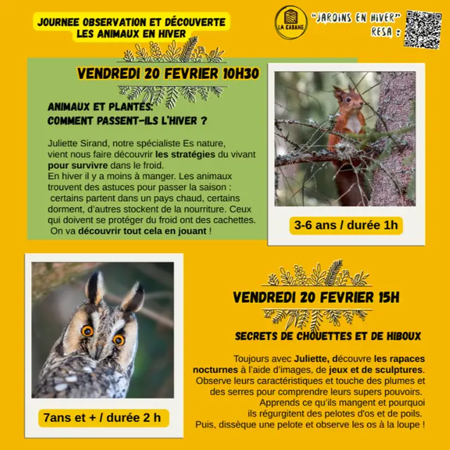 20-02-2026-Prog La Cabane_VsL