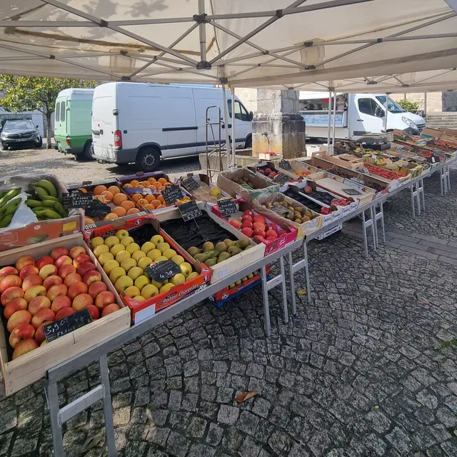 20240625_110307-scaled