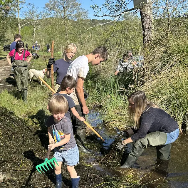 2025 arrachage véro