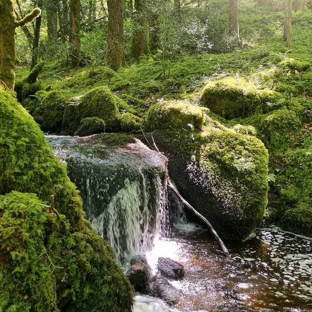 20250514_121239©OT Tulle en Corrèze-2