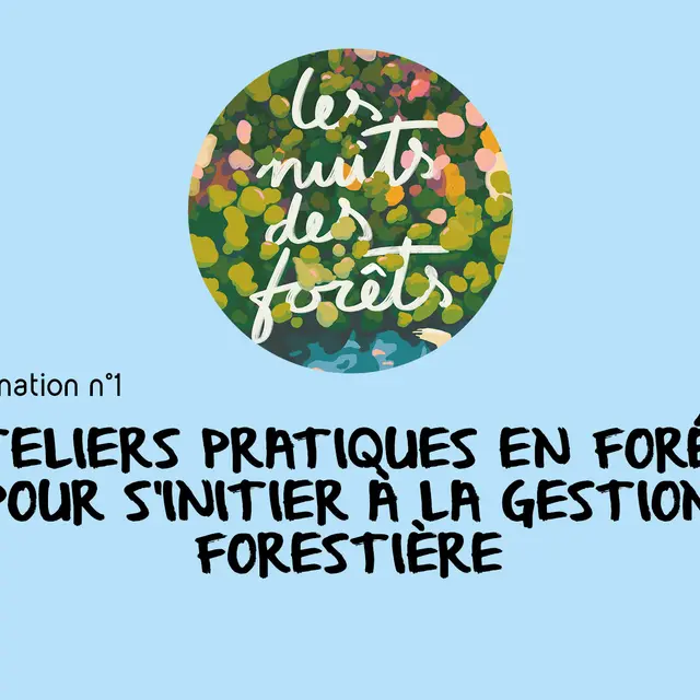 20250614_INT_NEDDE_Nuits des Forets_AnimationDiv_Anim1_forêt générale