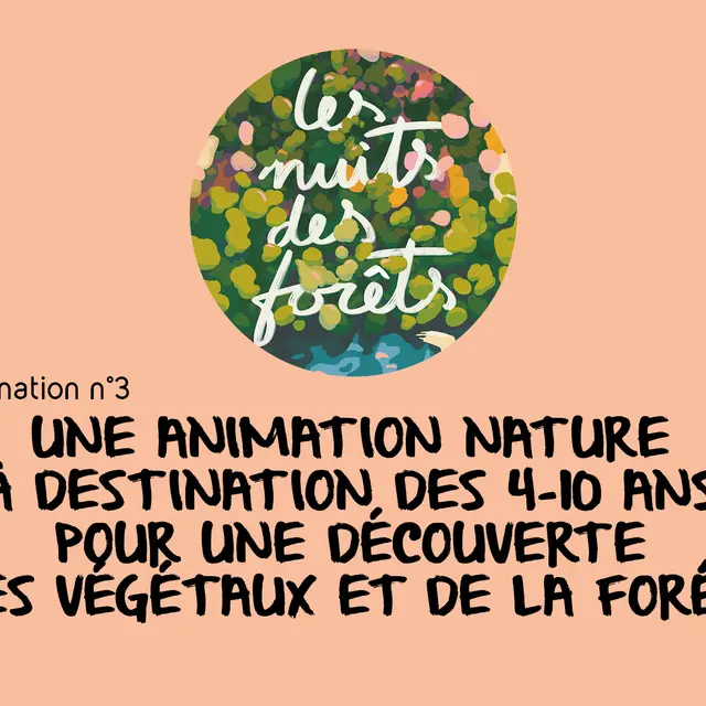 20250614_INT_NEDDE_Nuits des Forets_AnimationDiv_Anim3_enfant