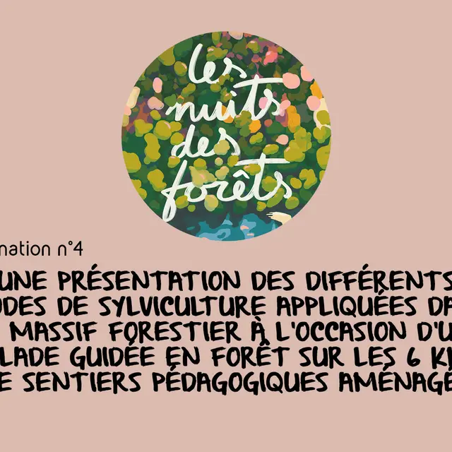 20250614_INT_NEDDE_Nuits des Forets_AnimationDiv_Anim4_sylviulture