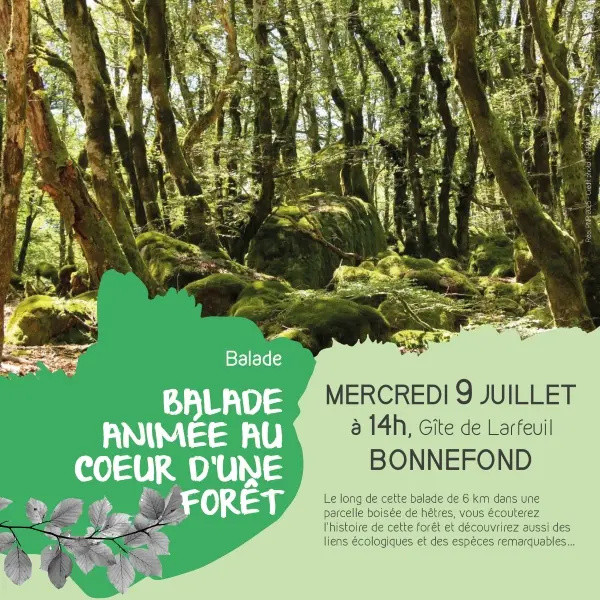 20250709_Natura_BONNEFOND_Foret_web