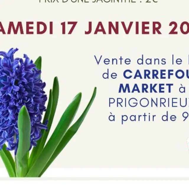 2026 - CMEJ Vente de Jacinthes Affiche V1(1)-fotor-20251218175553