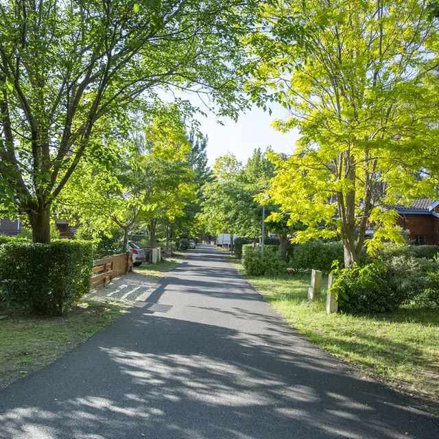 2026_nouziere_k9-1 (Copier)