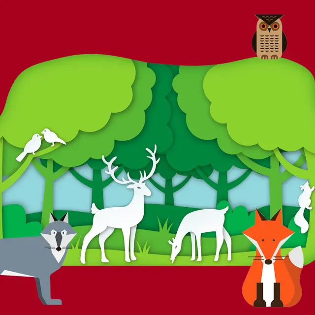 Stage « Marionnettes de papier : La Forêt »