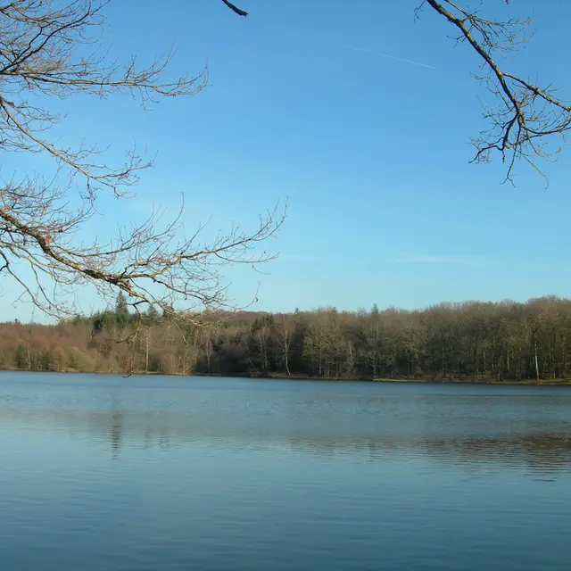 Etang de pêche 'Piquette' La Porcherie_1