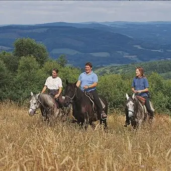 Ferme équestre des Ribières_1