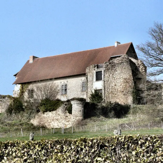 Vieux Château à Vicq sur Breuilh_1